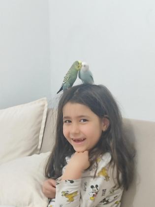 EŞ MUHABBET KUŞU