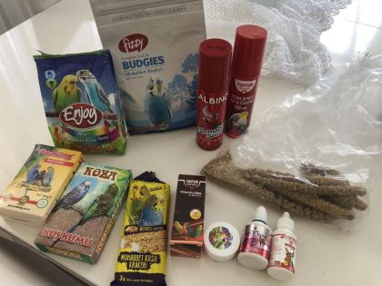 EŞYALARIYLA ERKEK MUHABBET KUŞU