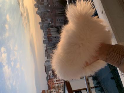 4 AYLIK DİŞİ POMERANİAN
