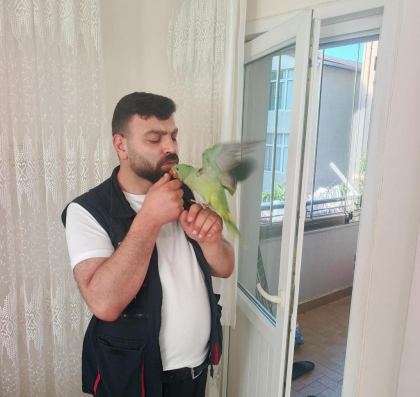 YAVRU ALEX İSKENDER PAPAĞANIMIZ