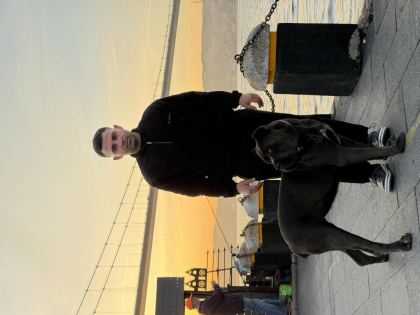 DEV KORUYUCU CANE CORSO YAVRULAR YENİ AİLELERİNİ BEKLİYOR