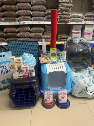 SİYAM VE HANGİ TÜR İSTERSENİZ ULAŞABİLİRSİNİZ