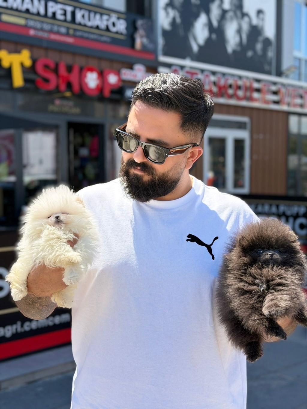 ANKARANIN TEK PET DANIŞMANLIĞI