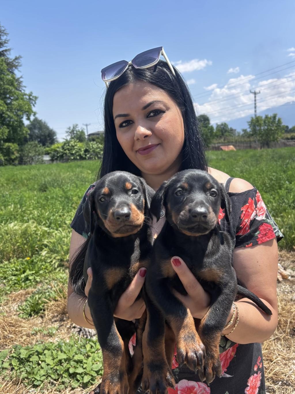 SAĞLIK VE IRK GARANTİLİ KİNG DOBERMAN YAVRULARIM