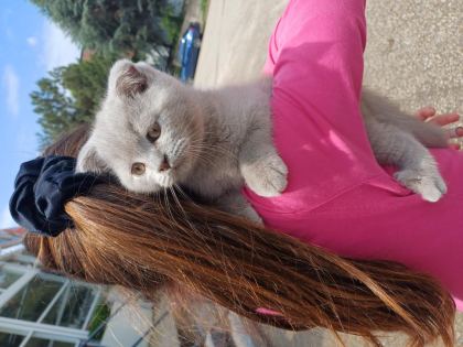 YAVRU KEDİMİZ