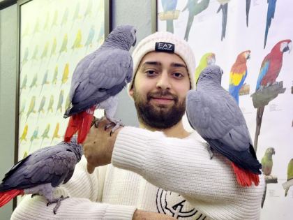 ÜST DÜZEY KONUŞAN EĞİTİMLİ JAKO PAPAĞANI