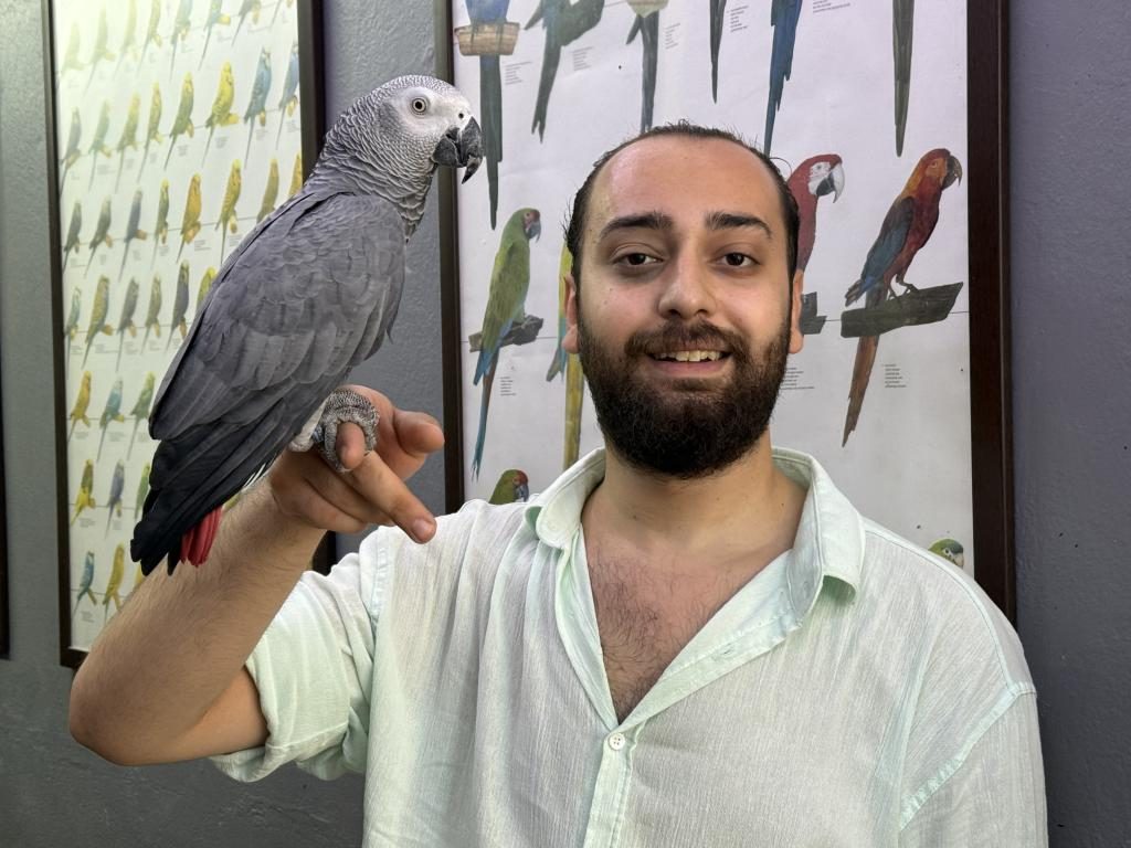 EVCİL EĞİTİMLİ KONUŞAN JAKO PAPAĞANI