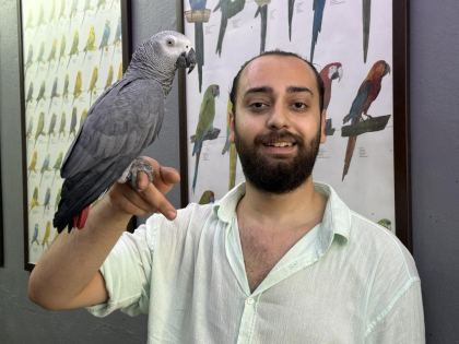 EVCİL EĞİTİMLİ KONUŞAN JAKO PAPAĞANI