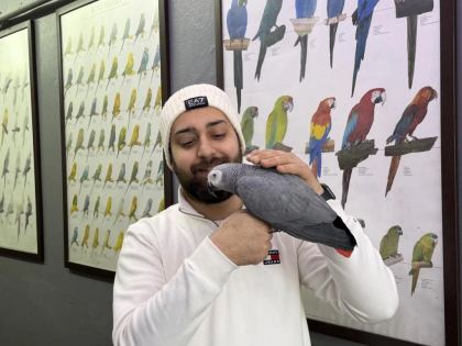 100 Kelime Konuşan Dans Eden Jako Papağani