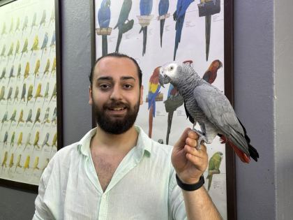 EVCİL EĞİTİMLİ KONUŞAN JAKO PAPAĞANI