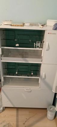 Pvc Kafes Ve Malzemeler İle Birlikte Sultan Papağanı