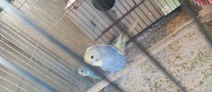 YENİ YEME İNMİŞ BEBEK MUHABBETLER