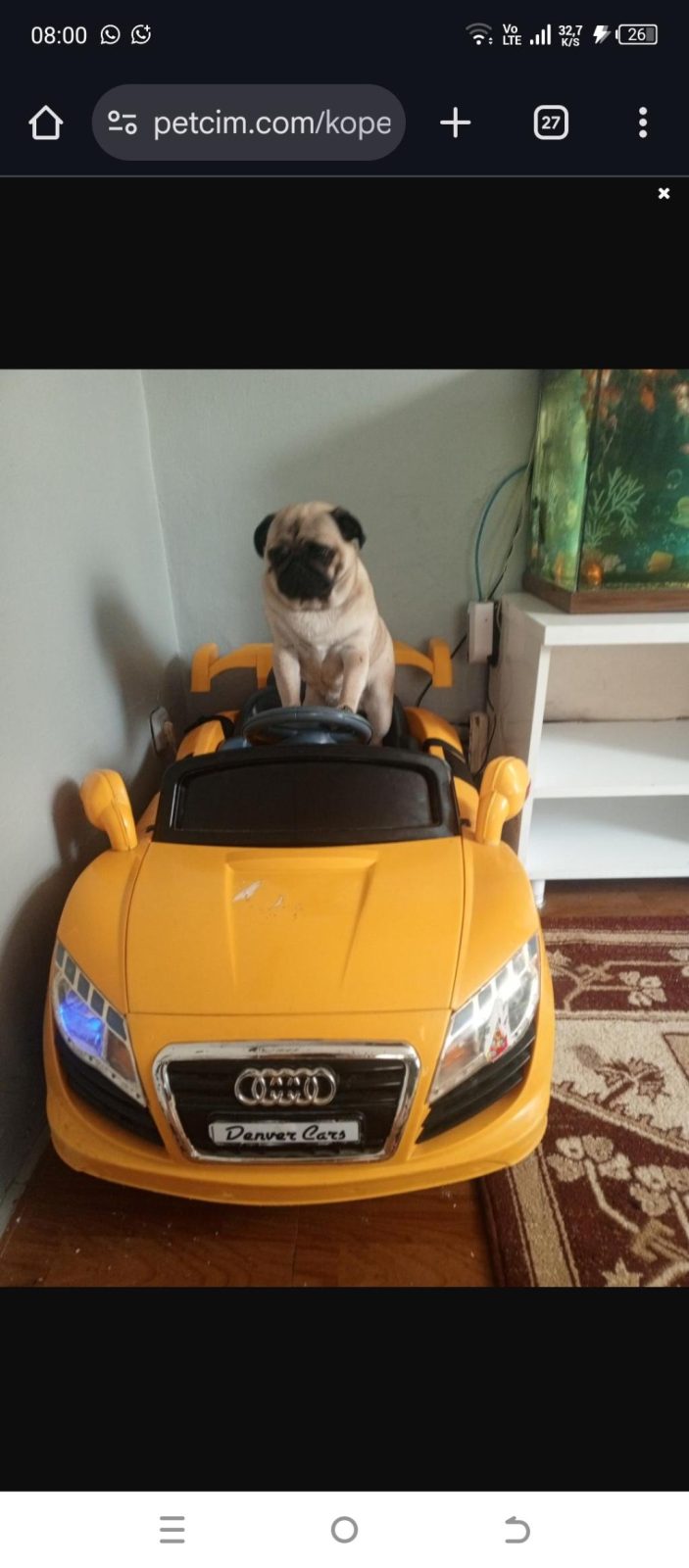 PUG MOPS 0 NUMARA