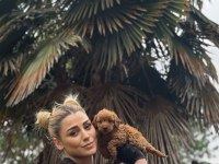 MALTİPO VE POODLE YAVRULARIMIZ YUVALARINI ARIYOR