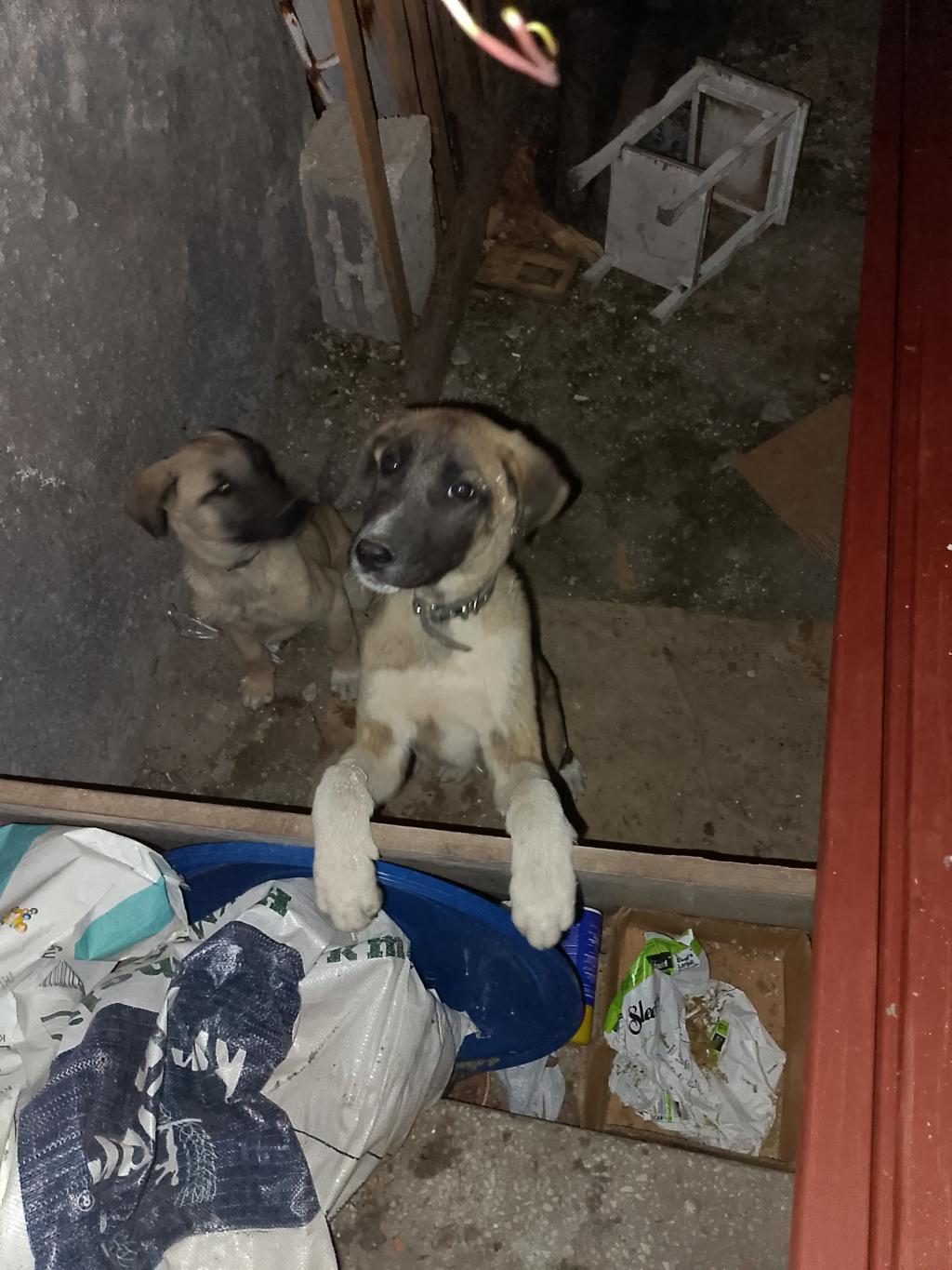 HER İLE KANGAL GÖNDERİM VARDIR