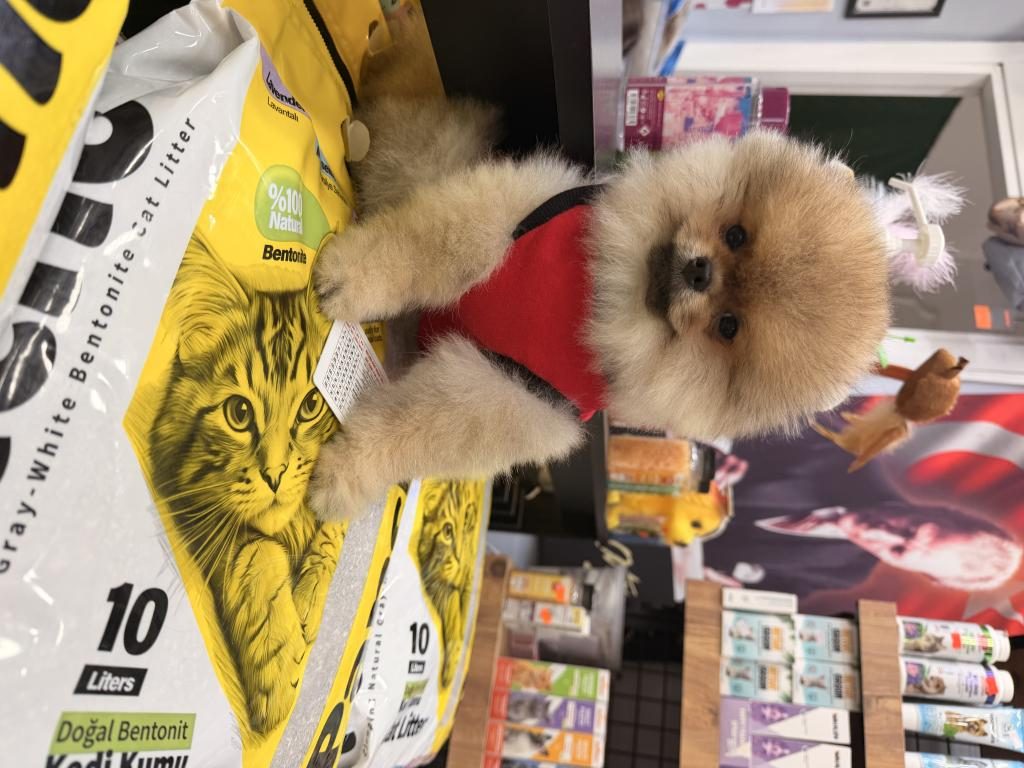 SEVİMLİ KÖPEĞİMİZ DARCHİ