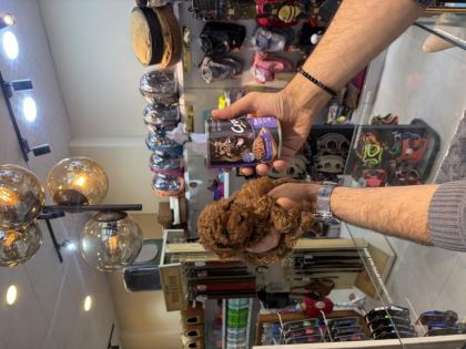 TEACUP TOY POODLE YAVRULARIMIZ
