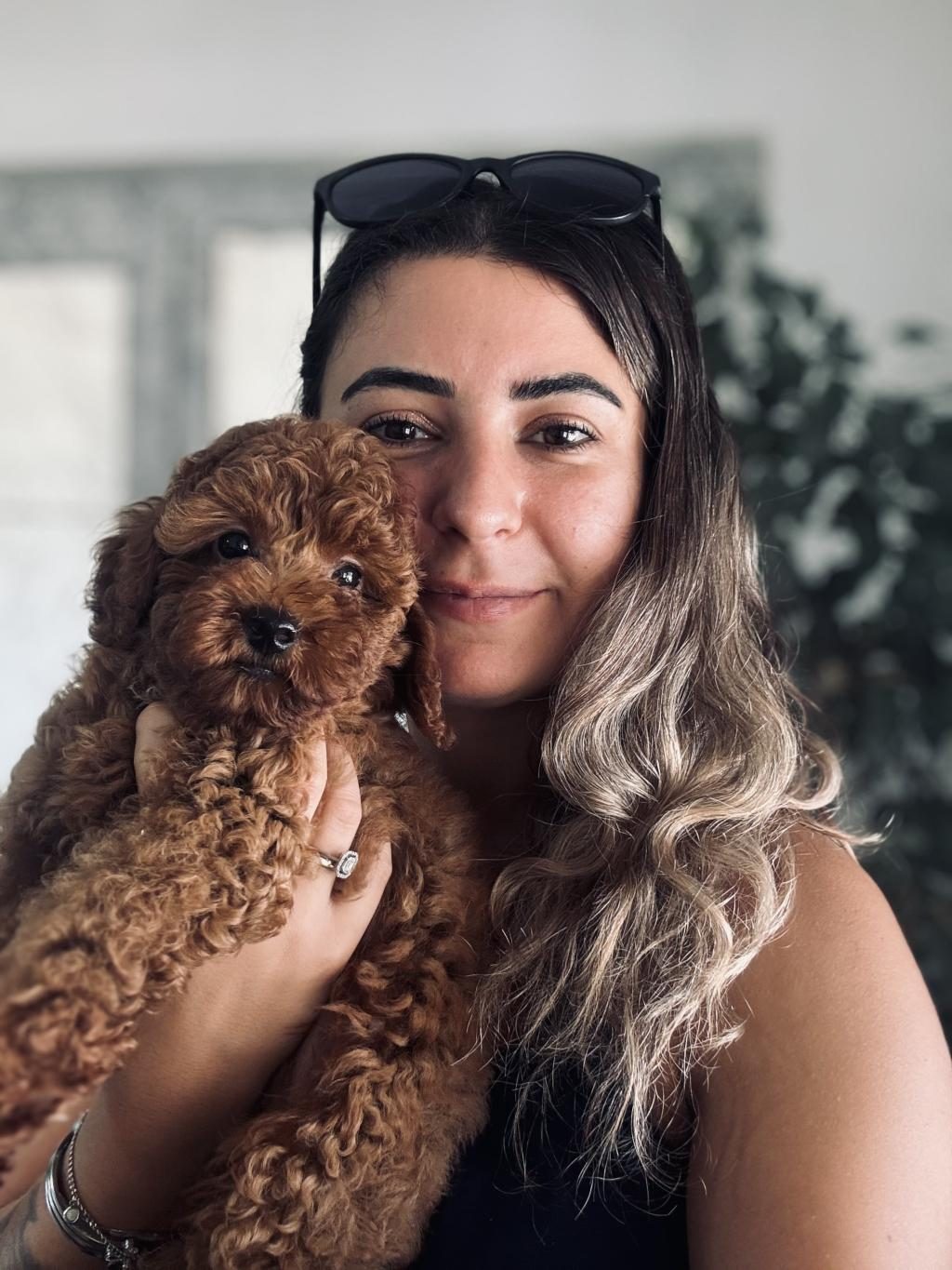 POFUDUK TOY POODLE BEBEKLER