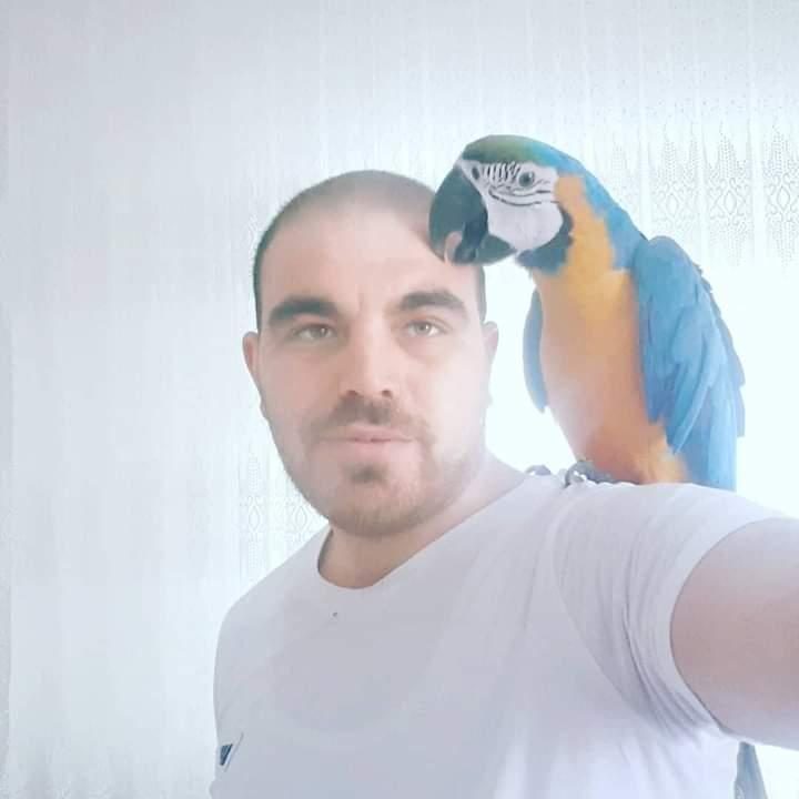 EVİN YENİ MACAW GENEL MÜDÜRÜ - Ara Macaw - İstanbul