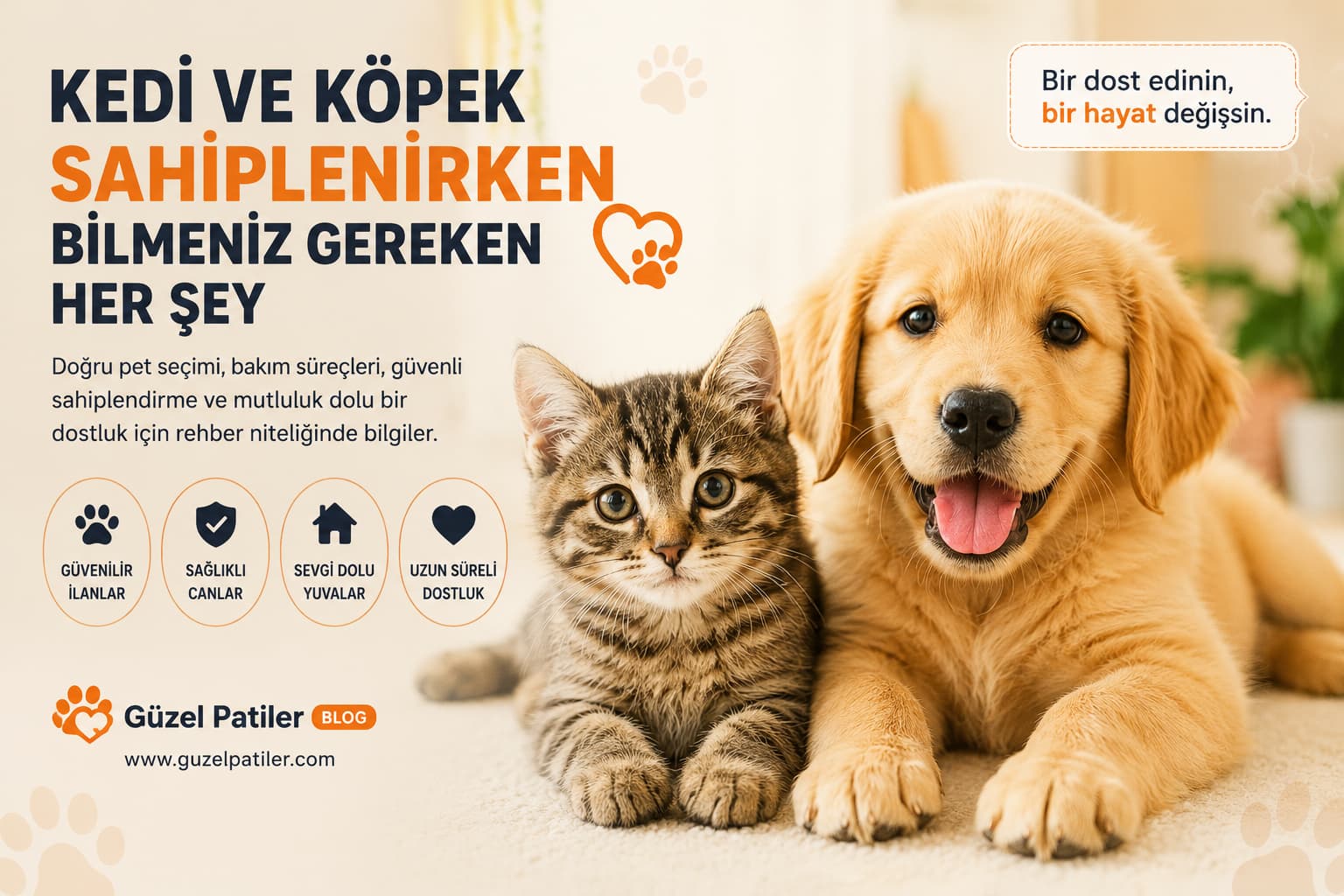 Kedi ve Köpek Sahiplenirken Bilmeniz Gereken Her Şey
