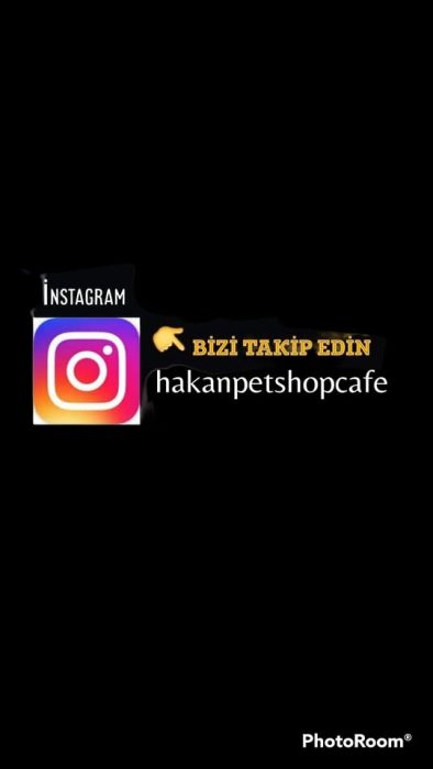hakan petshop