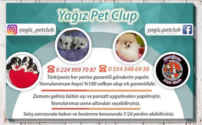 İlan Sahibi