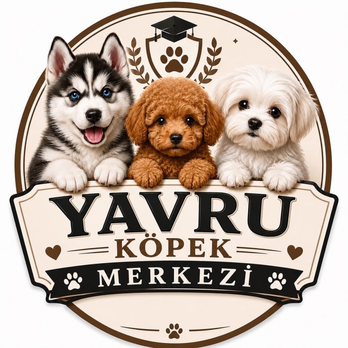 Gülay Boğa